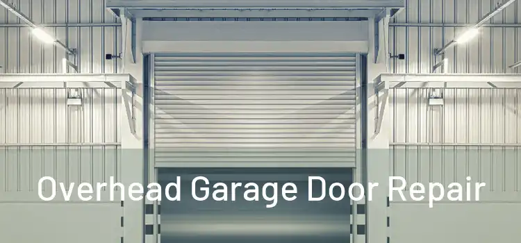  Overhead Garage Door Repair 